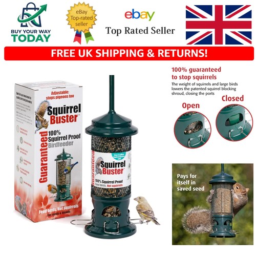 Ultimate squirrel buster - squirrel,