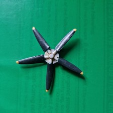 1/72 Aeroclub CMR ? Griffon