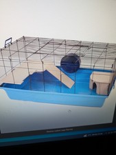 Large Skyline Barney Hamster