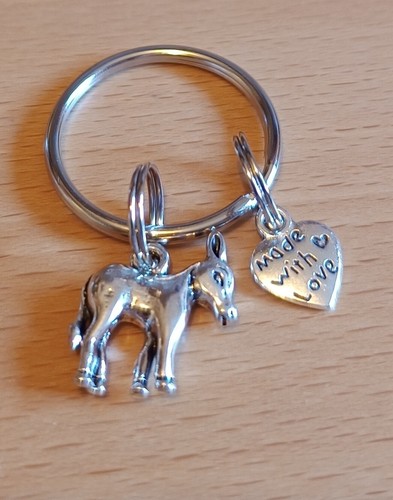 Beautiful little donkey - little,