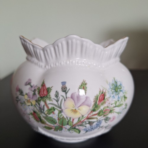 Aynsley wild tudor - tudor, patterned