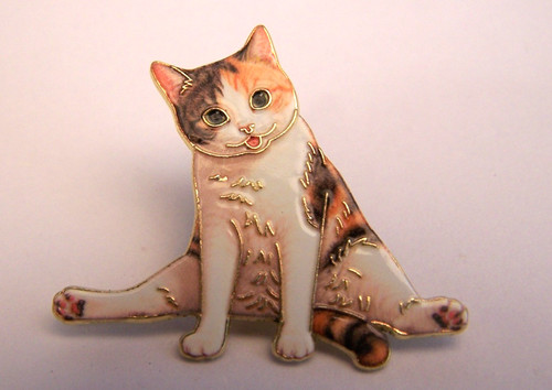 Lovely sitting tortoiseshell - lovely,