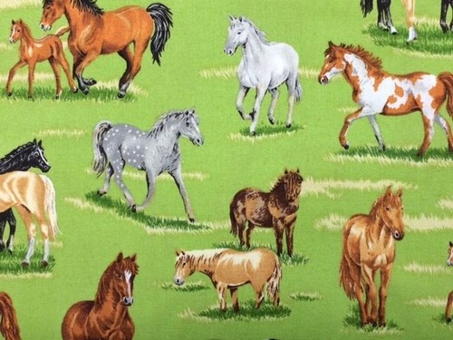 The country horses - in, 'horses'