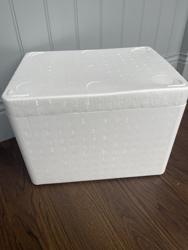 Polystyrene cool box fresh - cool, fresh/