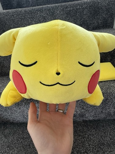 Official pokémon sleeping - official,