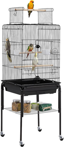Parrot cage bird open - cage,