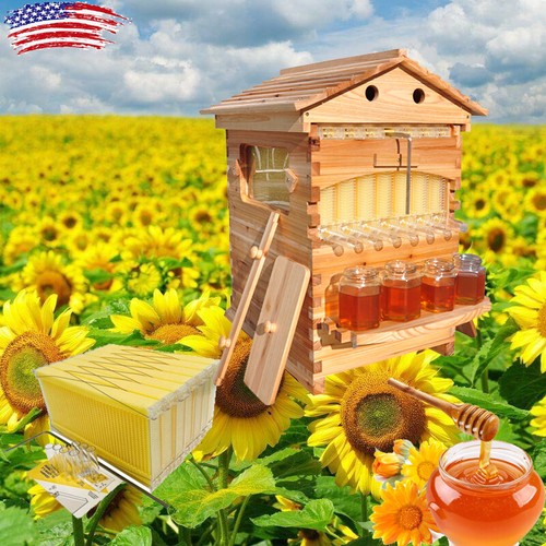 7pcs auto drain honey beehive - auto,