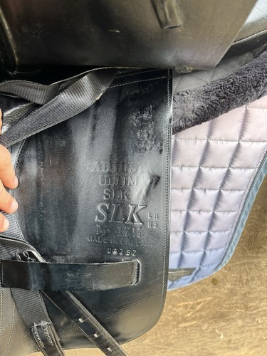 Black albion slk dressage - albion,