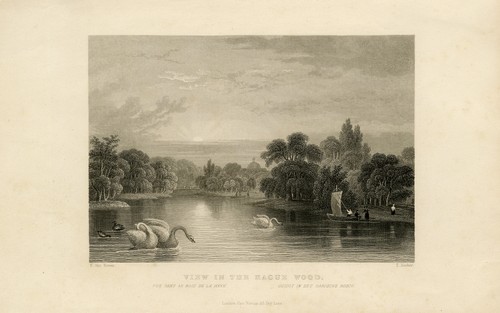 Antique print view - print-view, the