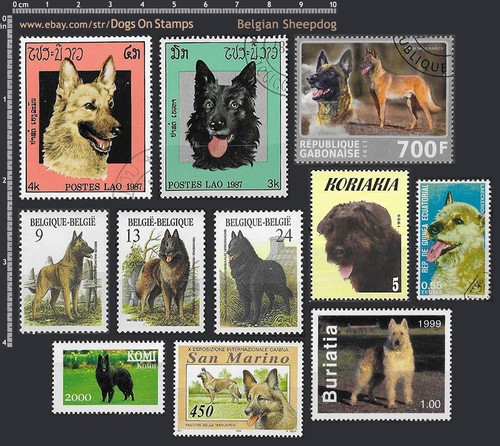 Beld frame dog breed - -,