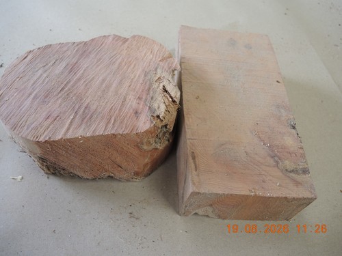 Yew wood blanks - 2,