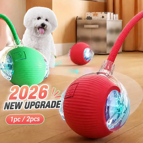 Automatic dog ball - ball, toy
