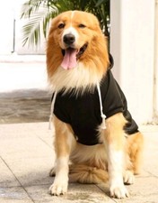 Solid Color Pet Hoodie, With Hat & Pocket 