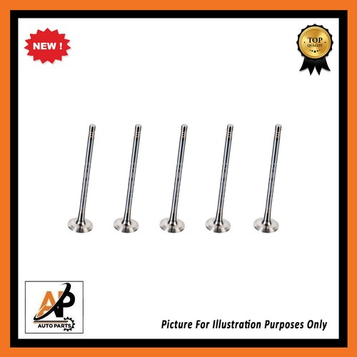 Pieces set exhaust valve - 5,