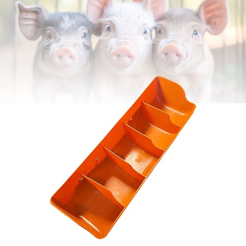 Pig feeder waterer - feeder,
