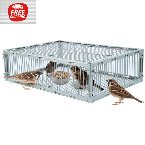 Bird trap cage - bird, with