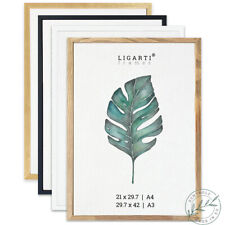 Picture Frame (Made in EU) DIN