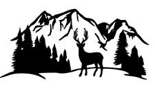 MOTORHOME CAMPER VAN CARAVAN