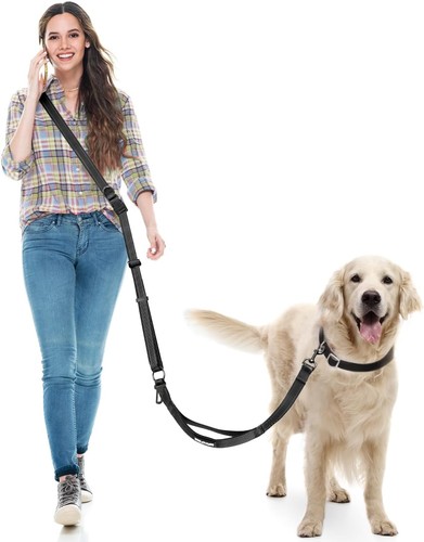 Hands free dog lead - dog,