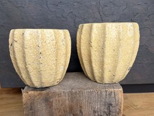 Pair Anthropology Glazed