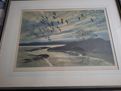 Vintage peter scott greylags - vintage,