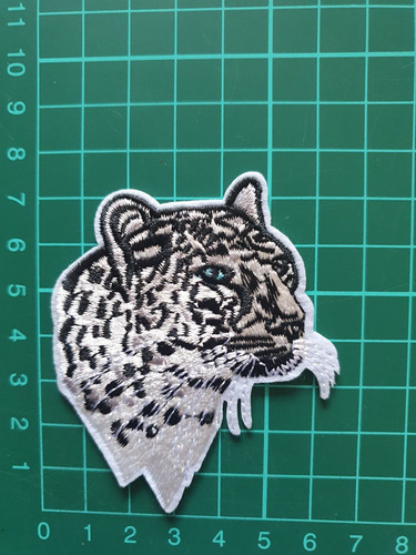 White leopard snow tiger - /,