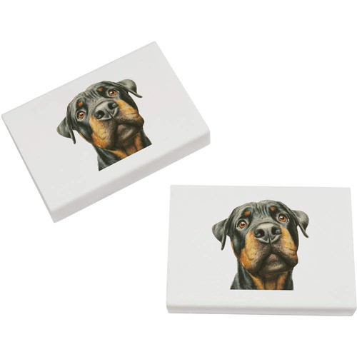 Rottweiler dog portrait - x, 'rottweiler