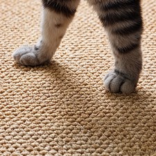 Large Cat Scratcher Carpet Mat
