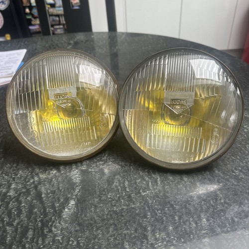 Genuine pair rare - pair, of