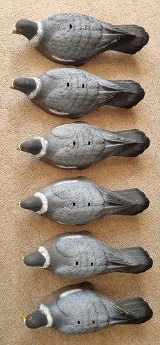 Decoy pigeons pack - pigeons, 6-pack,