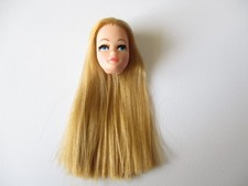 Palitoy Pippa doll Topper Dawn - Pippa head