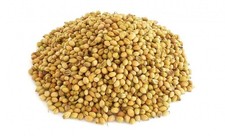 Spices Market - Coriander