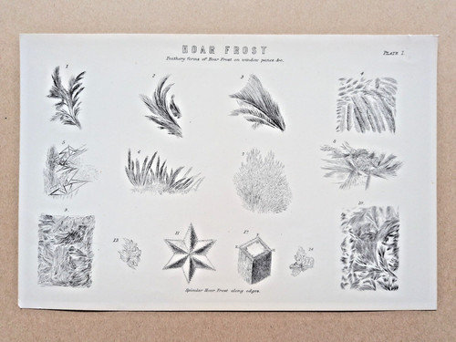 Forms hoar frost - of, antique