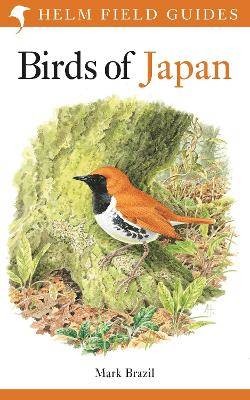 Field guide the birds - field,