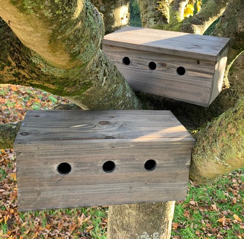 Sparrow bird house nest box - house,
