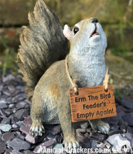 Bird Feeders Empty Squirrel