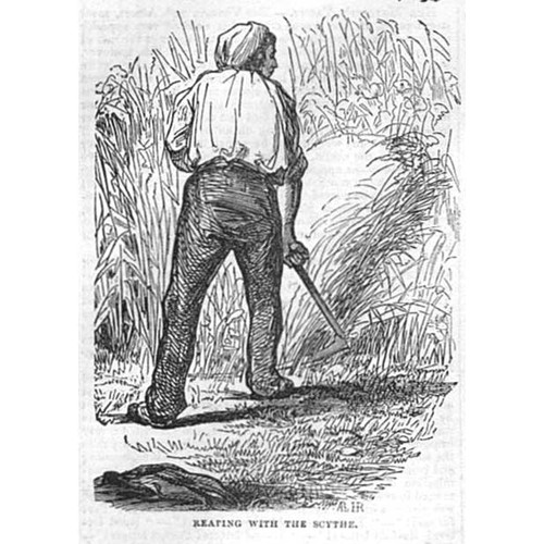 Farming reaping with - farming,