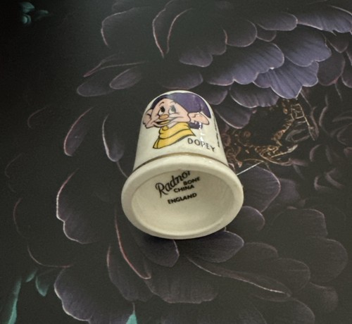 Vtg radnor bone china england - vtg,