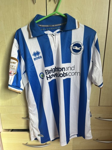 Brighton and hove albion - brighton,