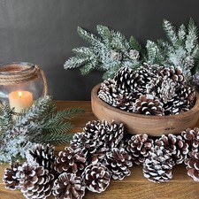 Wreath Making Christmas Decoration Orange Pine Cones Cinnamon Natural Dried