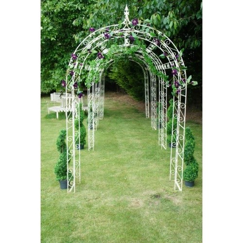 Black willow winds single - willow,