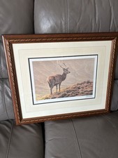 Rare Ltd Edition Andrew Hutchinson Stag Print Signed
