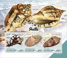 SEASHELLS Sea Shells Marine Life MNH 3v-Stamp Sheet #65 (2024 Sierra Leone)