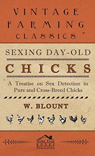Ing day old chicks - s**ing,