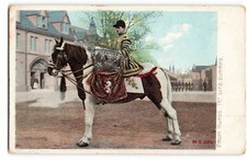 Drum Horse 1st Life Guards