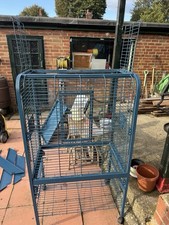 African grey Cage