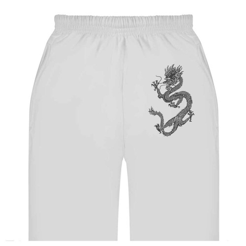 Chinese dragon adult - dragon',