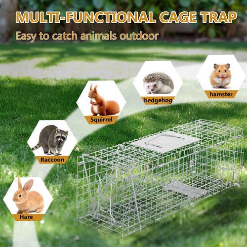 Inch live animal - live, trap