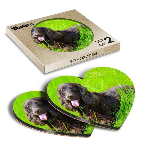 Heart mdf coaster irish water - irish,