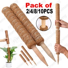 Moss Pole for Plants Monstera